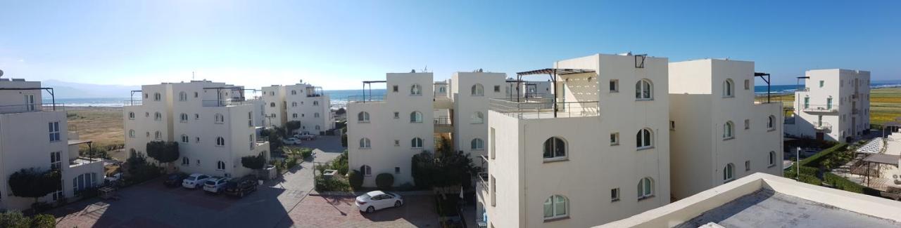 Aphrodite Beachfront Penthouse Apartment Ghaziveran Extérieur photo