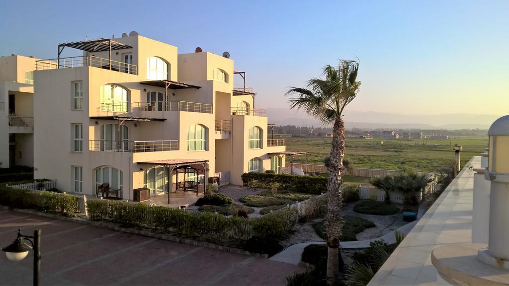 Aphrodite Beachfront Penthouse Apartment Ghaziveran Extérieur photo