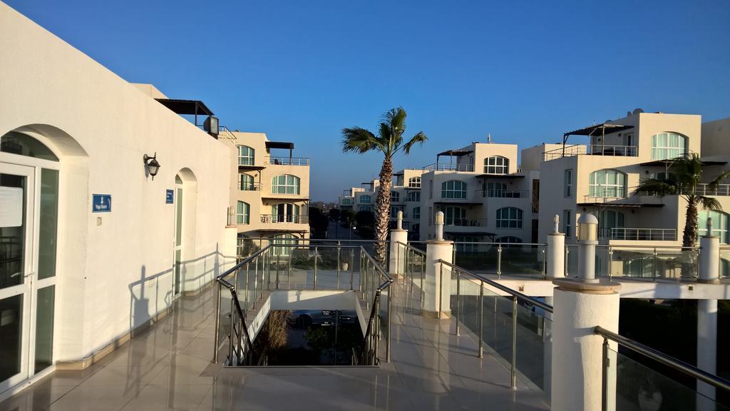 Aphrodite Beachfront Penthouse Apartment Ghaziveran Extérieur photo