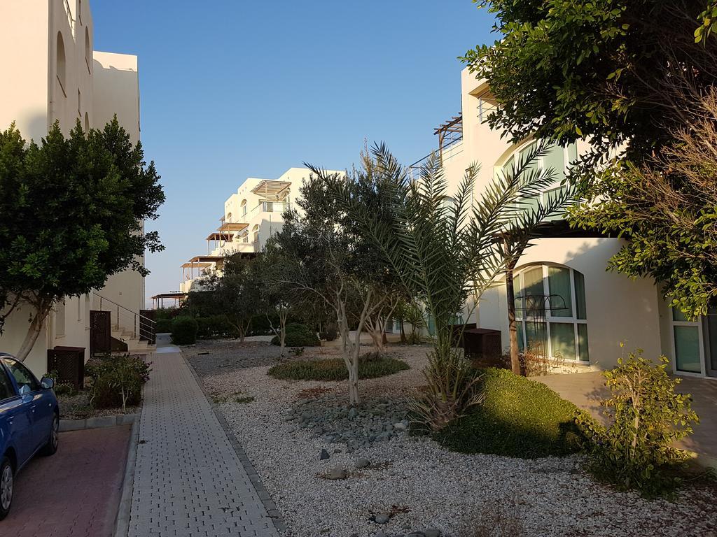 Aphrodite Beachfront Penthouse Apartment Ghaziveran Extérieur photo