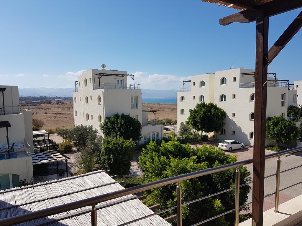 Aphrodite Beachfront Penthouse Apartment Ghaziveran Extérieur photo
